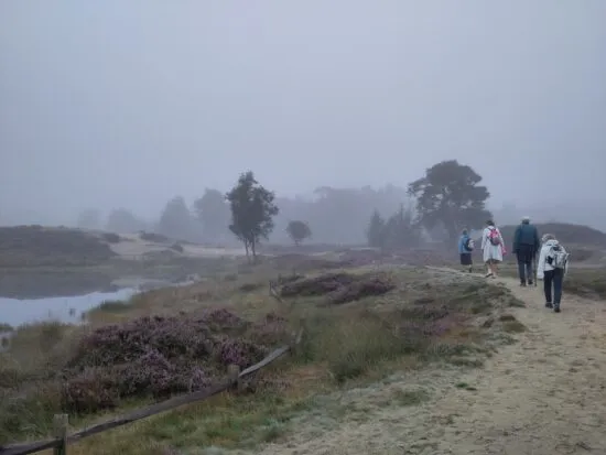 Wandeling scheppingsperiode