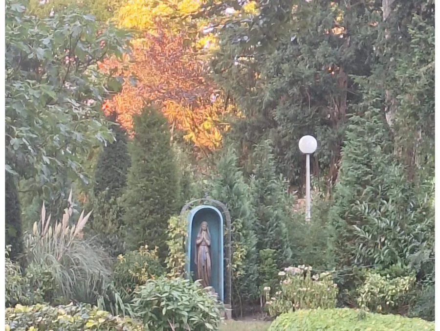 foto zeist