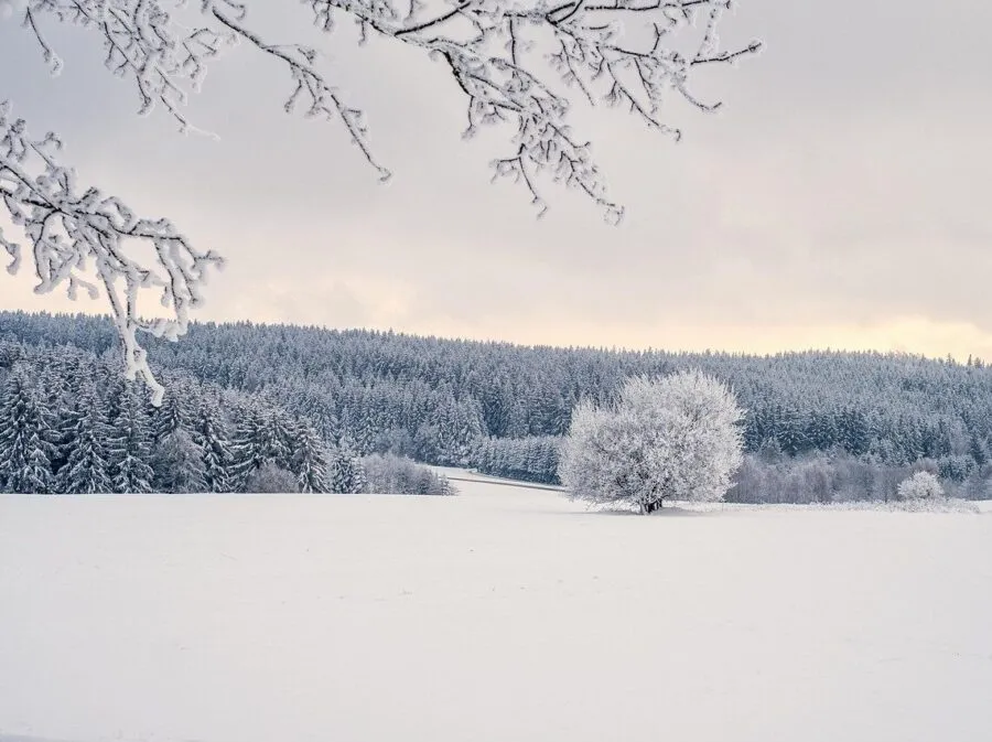winter sneeuw
